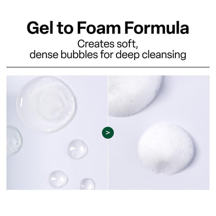 Ph Cleansing Gel Foam - Everyday Gentle Face Cleanser for All Skin Types - Ph-Balanced - Hydrating - Deep Pore Cleansing - Safe for Daily Use on Sensitive Skin - Korean Skincare - 6.76 Fl Oz